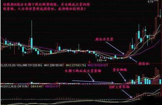 老股民常用的炒股核心精髓有哪些