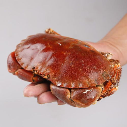 螃蟹怎么煮多久最好-图2