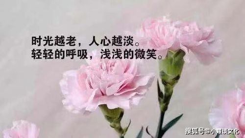 简短精辟的qq个性签名,太经典了,无法形容自己看