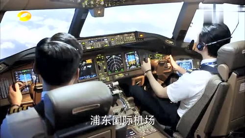 看老男孩刘烨机长,在开飞机过程中遇到鸟击如何机智应对 