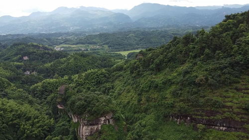 上海提督刘光才墓地,请湖南风水大师寻龙三年,紫霞峒是好阴地吗 