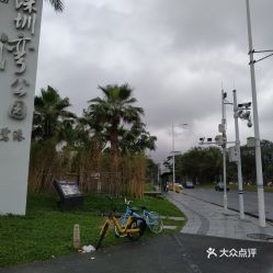 东莞牌可以去深圳湾公园吗 (深圳湾公园1号停车场免费)