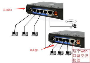 路由器和交换机连接时可能会出现哪些常见问题？