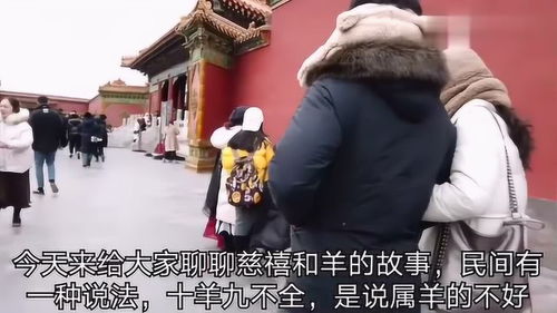 为什么说属羊的命不好 原来根子在慈禧,是人们在诅咒她 