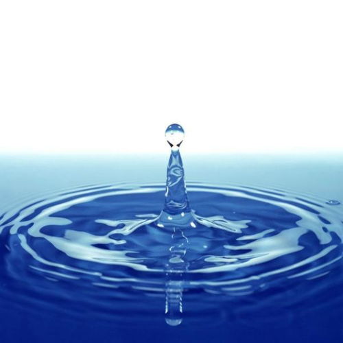 水 无机盐及维生素对人体的生理有何意义