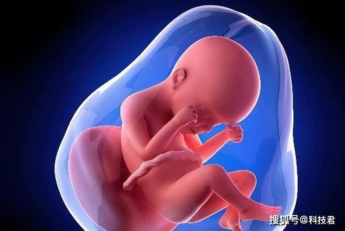 原创孕期子宫羊水变少，身体或许会有这3个“感觉”，准妈妈可别大意