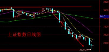 公司在公布重大事件半个月内公司高管能否买公司的股票