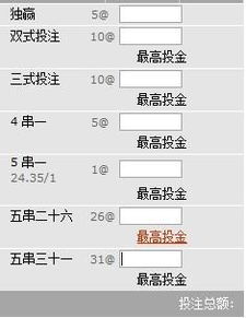 篮球5串31是什么意思 