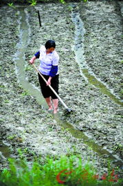 广州暴雨来袭农房受损 损失保险公司最高赔1万元 