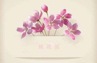 龙吟师傅详解命理桃花