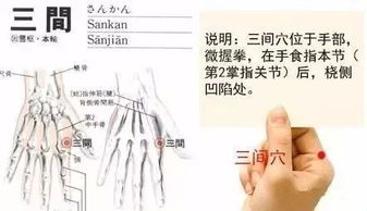 按这个地方,上可按跑96 的眼病,下能治便秘 痔疮疼痛