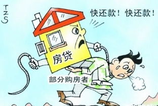 中国人为什么不建议买房