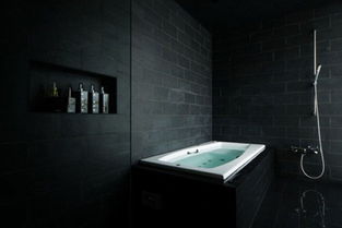 时尚又个性 16个黑色浴室设计 