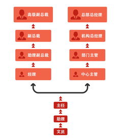 我在保险公司上班未来三年的职业规划 