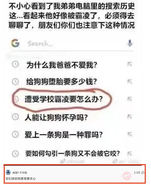 除了文章提到的5个解决方案，还有哪些方法可以解决电脑黑屏和风扇不转的问题？