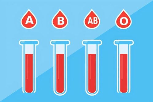 A型 B型 AB型 O型血的人,什么血型身体好些 你是哪种血型