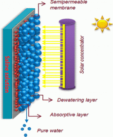 Membrane,semipermeable membrane