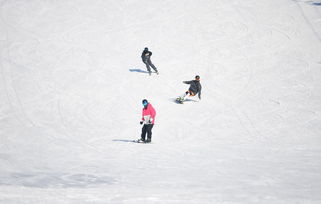 高山雪道上 来了300多冰雪少年