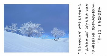 春雪散文100篇