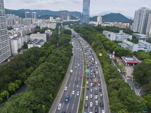 深圳市停车场收费标准打哪个电话,罗湖口岸停车场收费标准