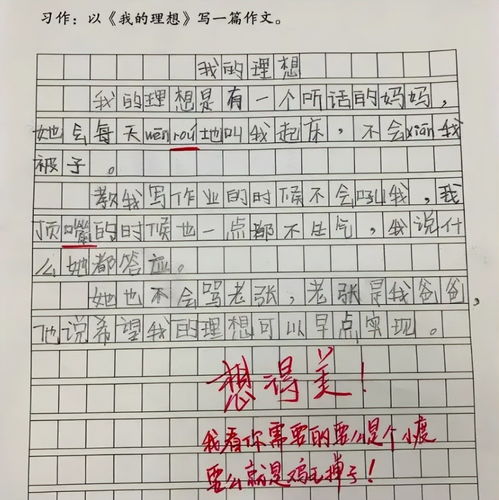 理想为话题的作文800字作文