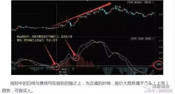 macd指标参数设置有什么技巧啊