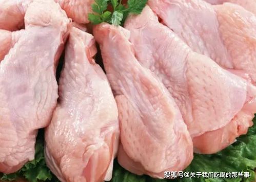 冷冻鸡肉为何那么便宜 能经常吃吗 有没有营养 看完你就明白了