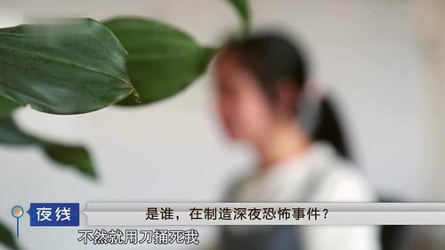 纪实 3名男子劫财又劫色,折磨女人只为刺激,被抓后直呼对不起 