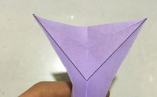 折纸摩羯座超简单的，折纸摩羯座的立体 视频