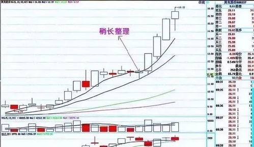 读者传媒股票股吧