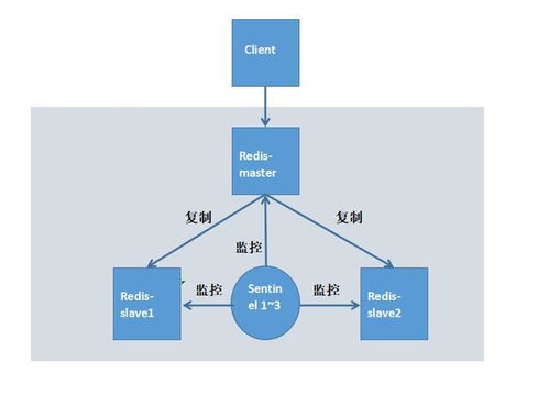 redis集群和哨兵的区别(redis集群和哨兵的区别是什么)