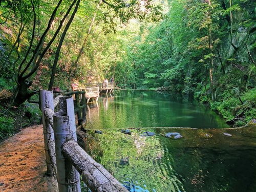 河南5个有山有水的景区,爬山不累空气佳,适合老人孩子