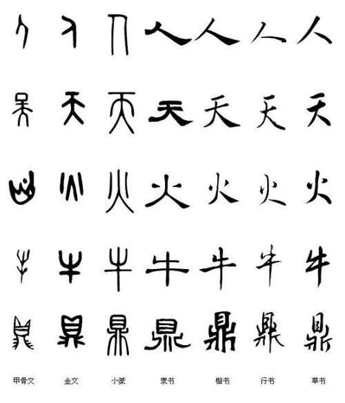 为什么说汉字是表意文字 现代汉语课后习题 