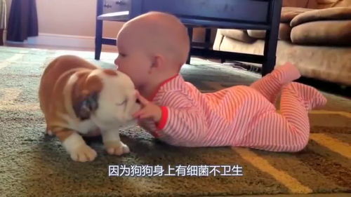 小奶狗趴在宝宝身上睡觉,一个很暖心的画面,却让网友争议不断 