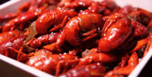 国人最爱的麻辣小龙虾只要19.8元一斤