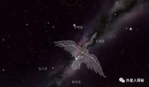 中国接收到一万年前来自天鹅座的信息,科学家终于说出破译的内容