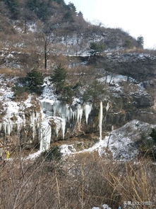 关于雪的诗句常常见的