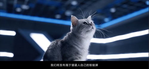 2050年 ,以猫的能力足以统治地球