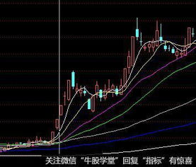 如何快速的成为操盘高手