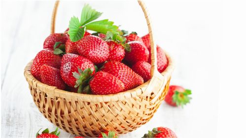 草莓哪个品种好吃(草
