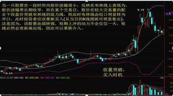 布林上限值、布林下限值、布林股价平均值是什么?在可以得到?