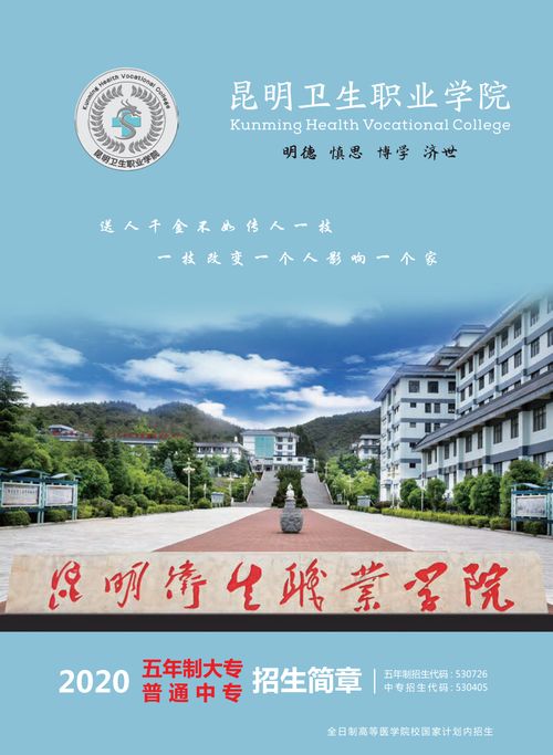 昆明学校大学有哪些专业