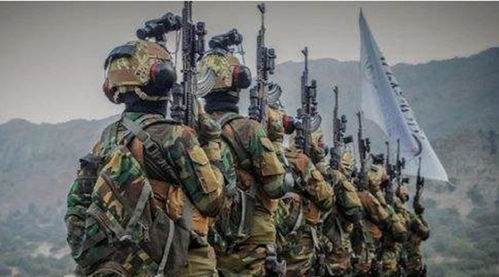 俄向塔利班出售武器 俄反击干脆利落 美国武器能武装两个阿富汗