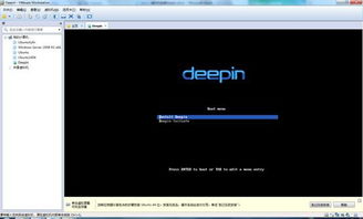 先安装deepin后安装win10