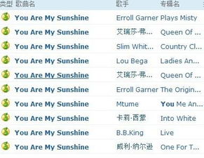 mysunshine什么意思中文