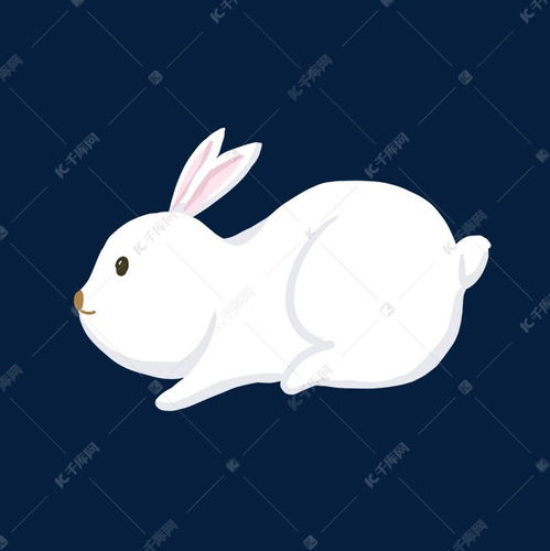 白色的兔子手绘插画素材图片免费下载 千库网 