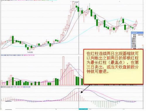 股票中MACD红绿柱代表的是主动性买盘与主动性卖盘的量吗