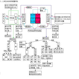 初中生物知识点总结思维导图