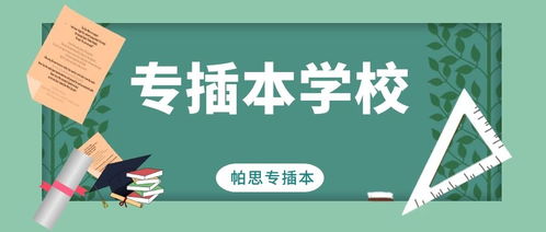 广东专插本的学校有哪些是公办的？