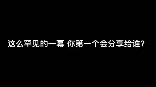 终究逃不过黄昏下对你的汹涌想念,私奔吗,在日落之前. 